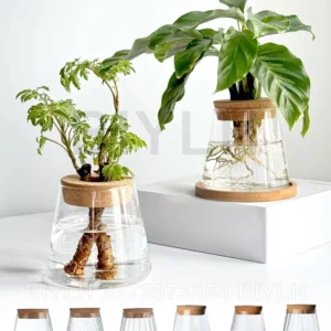 Pots de fleurs en verre pour plantes hydroponiques