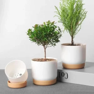 Pot de fleurs pour plantes d'intérieur
